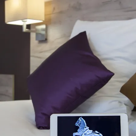 Brit Hotel Saumur 3*